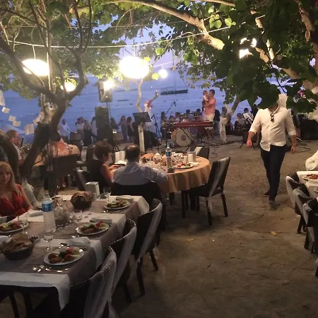 Meteor 4* تورغوتْريس