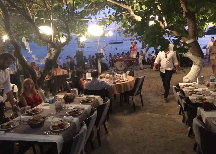 Meteor 4* Turgutreis