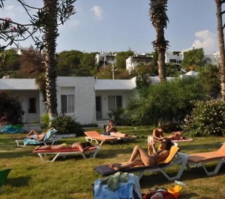 Meteor 터그트레이스