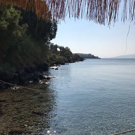 Meteor 터그트레이스