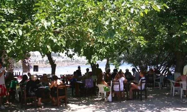 Hotel Meteor Beach 4*